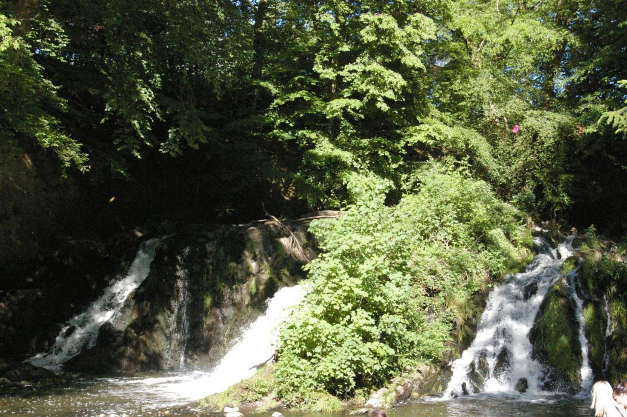 Au Charme D'Antan Bed & Breakfast Feron Bagian luar foto